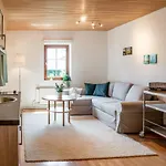Lakeview Apartment Hallstatt